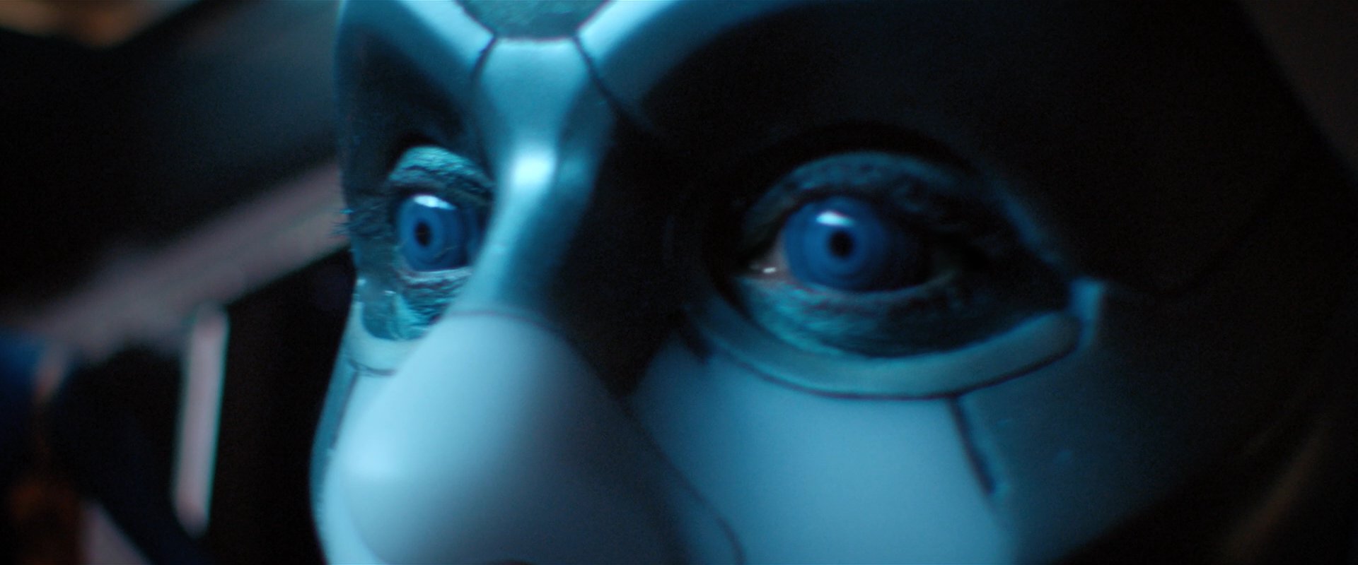 extant_StarTrekDiscovery_2x08-IfMemoryServes_05066.jpg