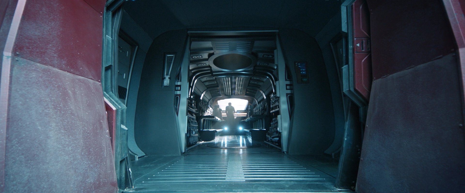 extant_StarTrekDiscovery_2x08-IfMemoryServes_05089.jpg
