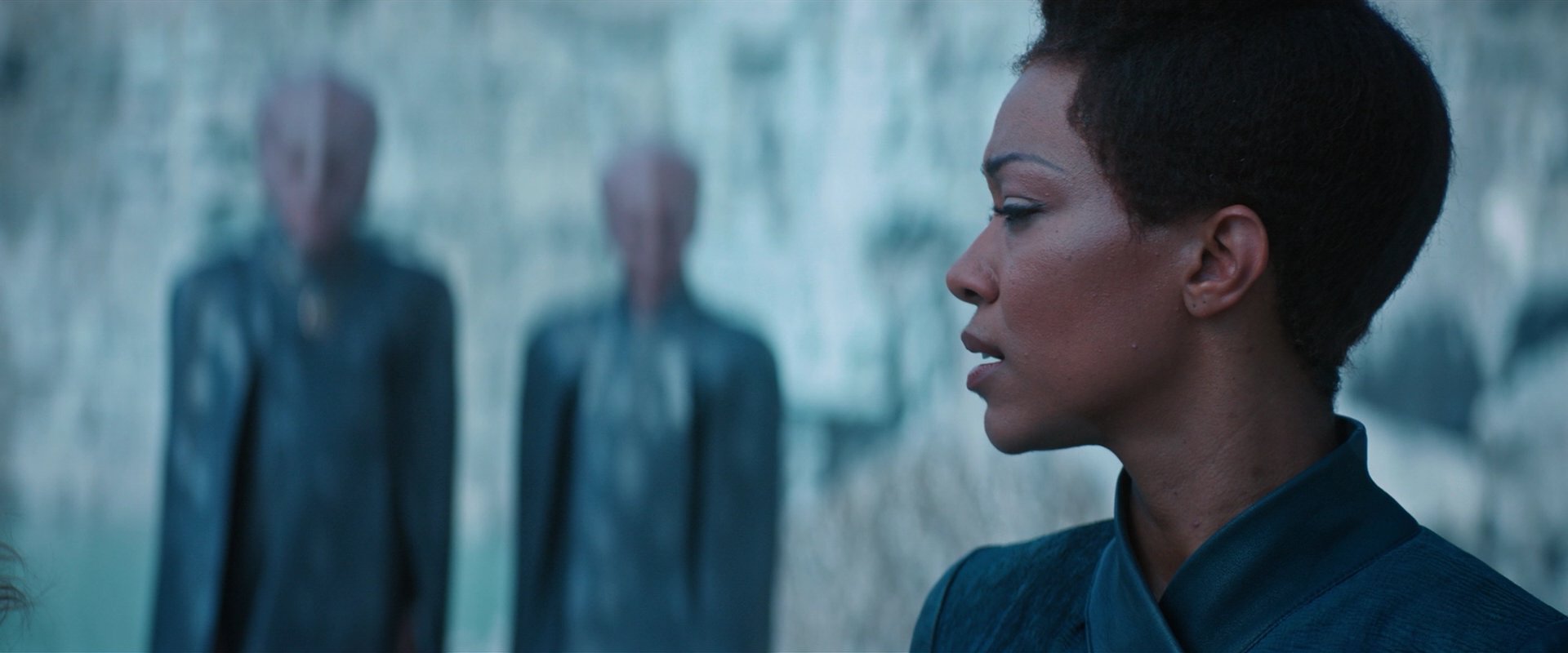 extant_StarTrekDiscovery_2x08-IfMemoryServes_05113.jpg