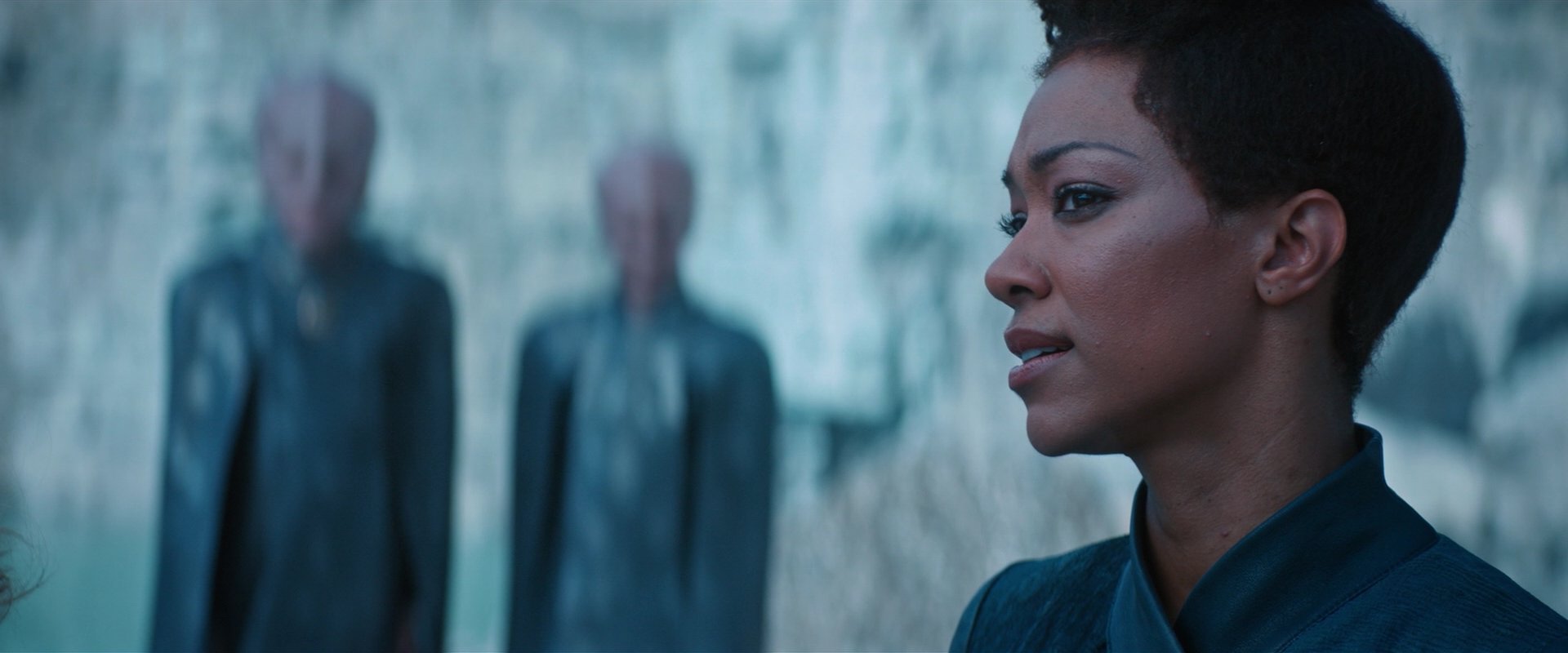 extant_StarTrekDiscovery_2x08-IfMemoryServes_05114.jpg