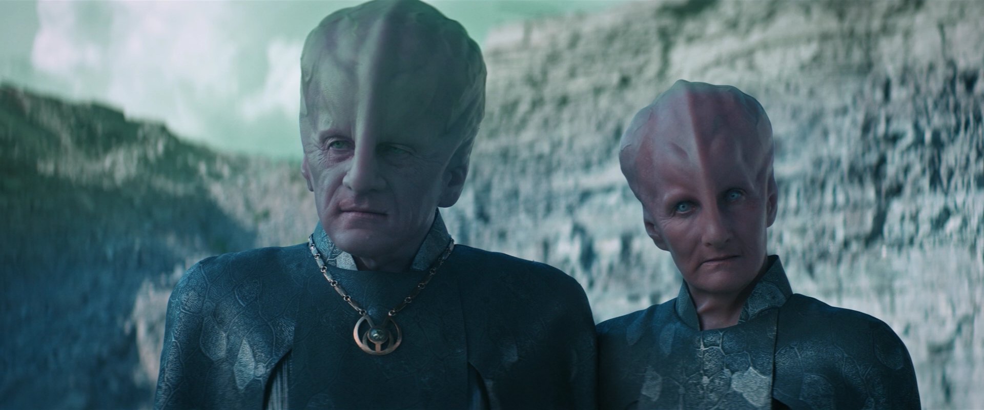 extant_StarTrekDiscovery_2x08-IfMemoryServes_05166.jpg