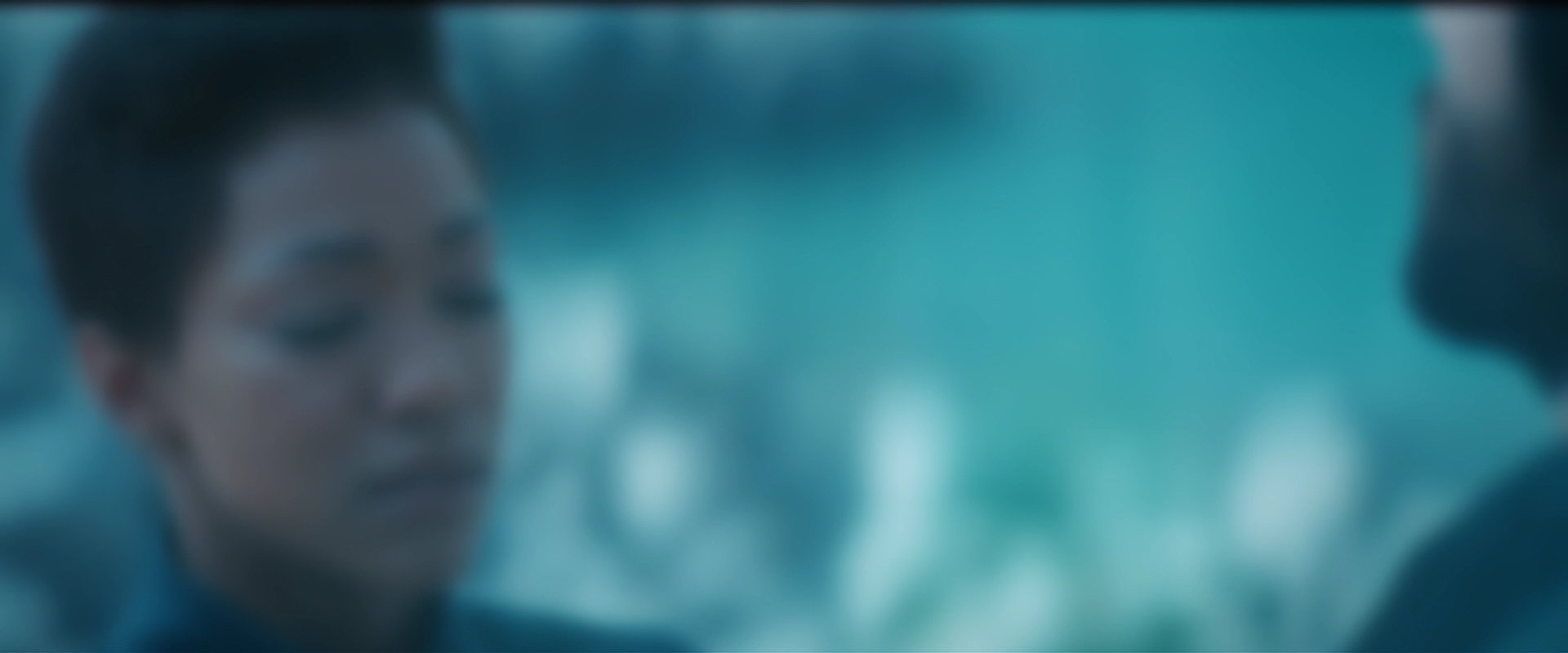 extant_StarTrekDiscovery_2x08-IfMemoryServes_05179.jpg