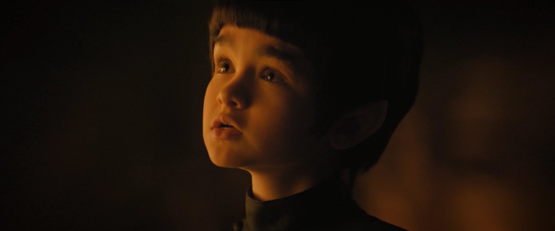 extant_StarTrekDiscovery_2x08-IfMemoryServes_05227.jpg