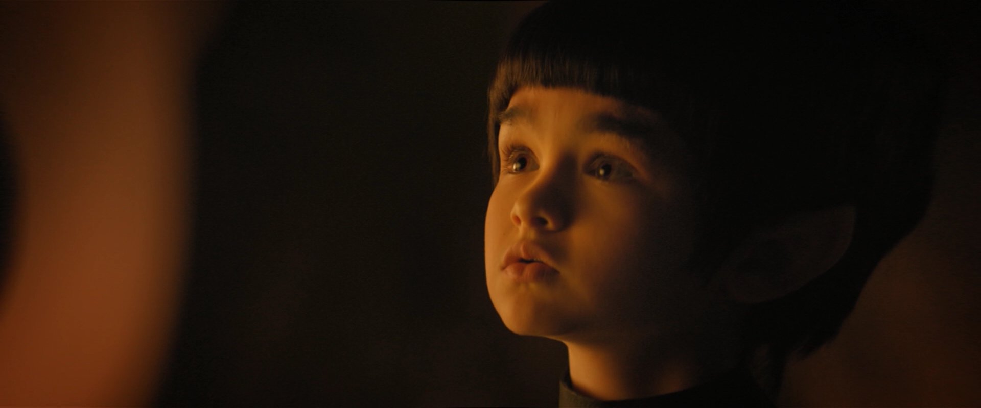 extant_StarTrekDiscovery_2x08-IfMemoryServes_05232.jpg