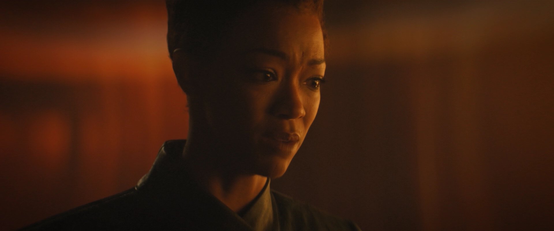 extant_StarTrekDiscovery_2x08-IfMemoryServes_05236.jpg