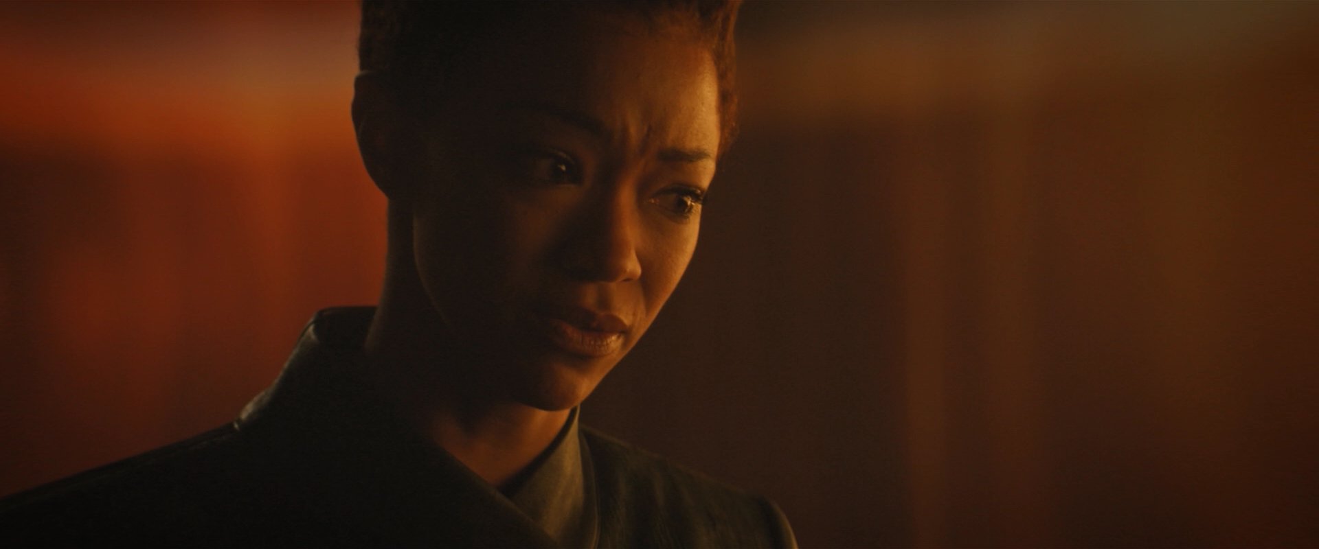 extant_StarTrekDiscovery_2x08-IfMemoryServes_05238.jpg