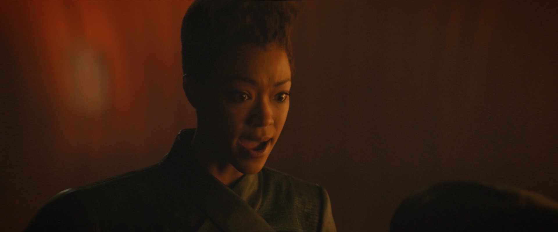 extant_StarTrekDiscovery_2x08-IfMemoryServes_05250.jpg