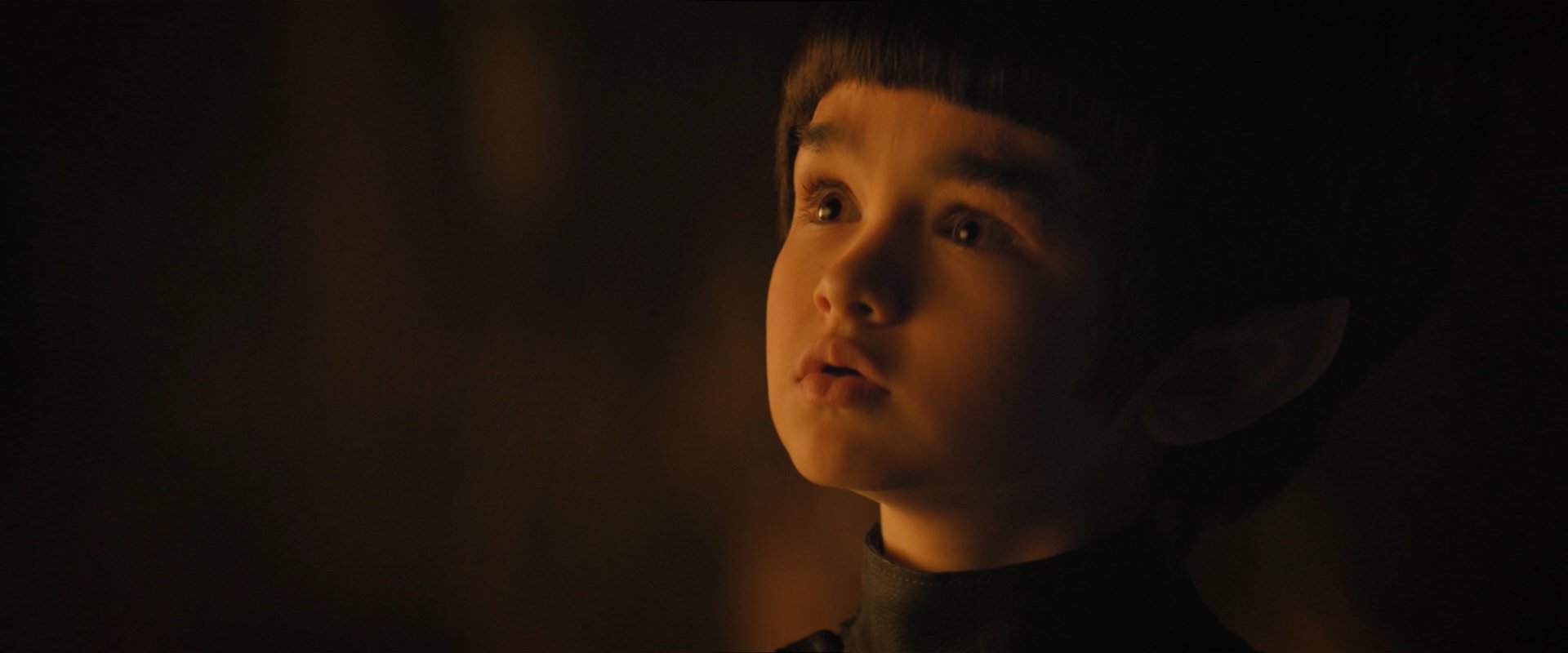 extant_StarTrekDiscovery_2x08-IfMemoryServes_05264.jpg