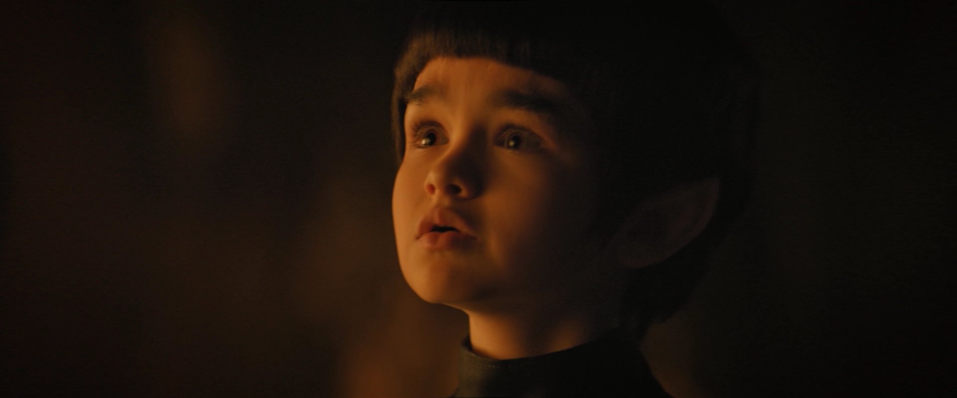 extant_StarTrekDiscovery_2x08-IfMemoryServes_05273.jpg