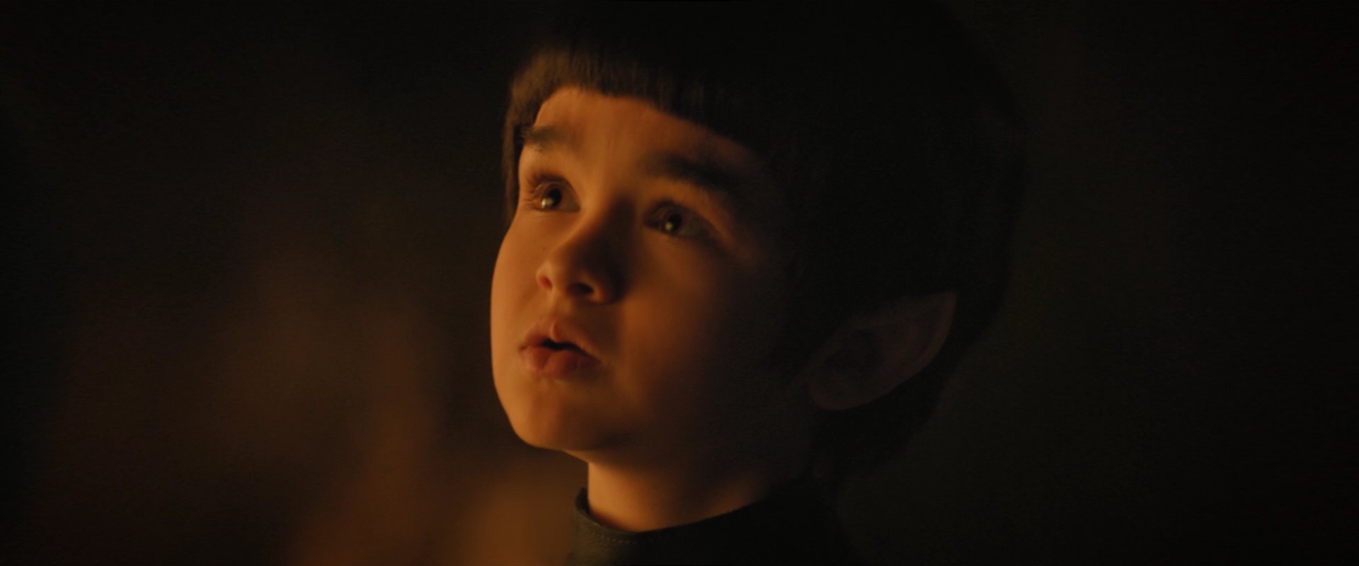 extant_StarTrekDiscovery_2x08-IfMemoryServes_05282.jpg