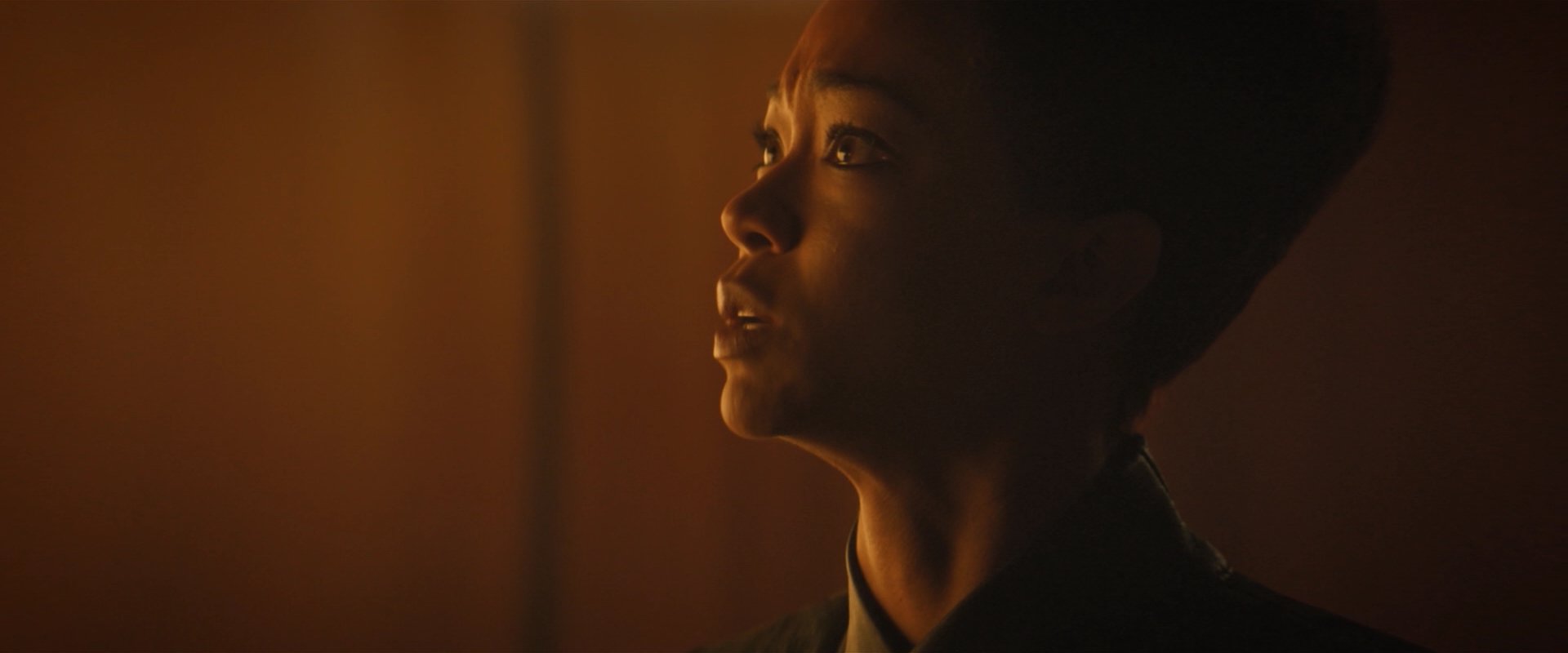 extant_StarTrekDiscovery_2x08-IfMemoryServes_05296.jpg