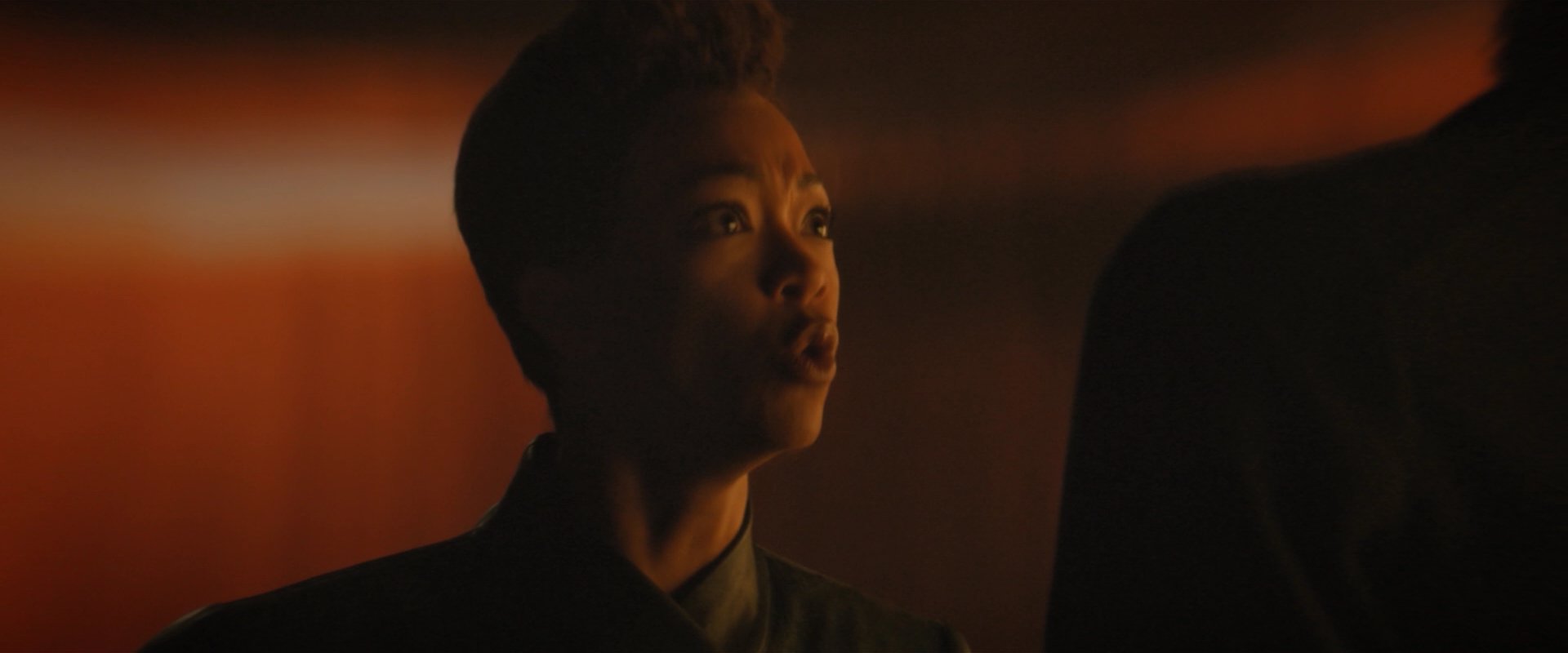 extant_StarTrekDiscovery_2x08-IfMemoryServes_05320.jpg