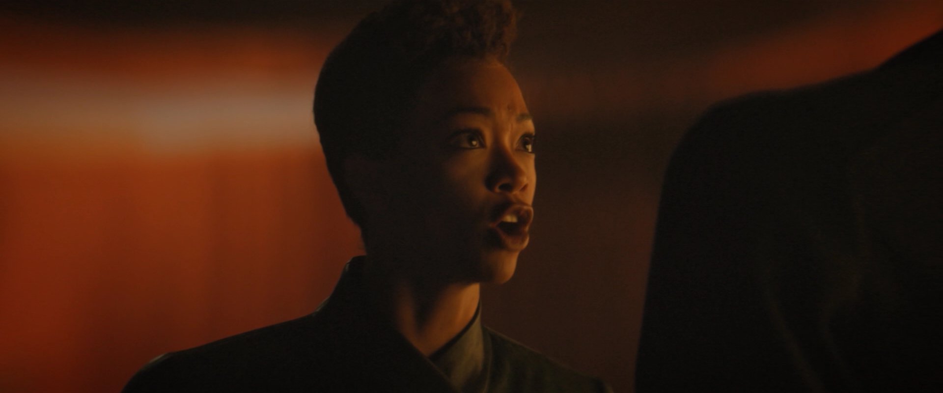 extant_StarTrekDiscovery_2x08-IfMemoryServes_05321.jpg