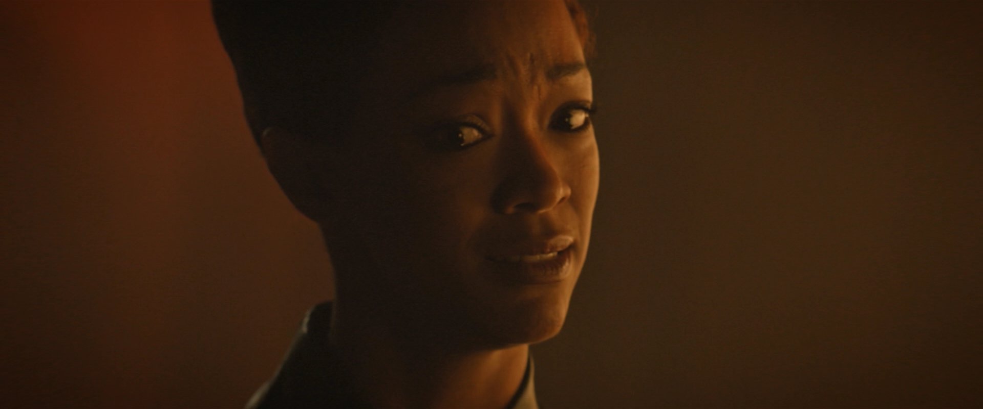 extant_StarTrekDiscovery_2x08-IfMemoryServes_05368.jpg
