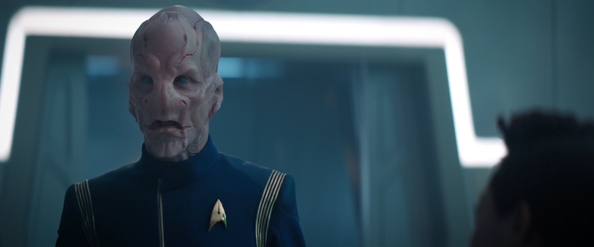 extant_StarTrekDiscovery_2x08-IfMemoryServes_06084.jpg