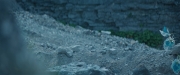 Filename=extant_StarTrekDiscovery_2x08-IfMemoryServes_01461.jpg
Filesize=174KiB
Dimensions=1920x800
Date added=Dec 08, 2019 extant_StarTrekDiscovery_2x08-IfMemoryServes_01461.jpg
