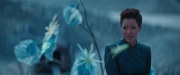 extant_StarTrekDiscovery_2x08-IfMemoryServes_01472.jpg