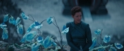 Filename=extant_StarTrekDiscovery_2x08-IfMemoryServes_01480.jpg
Filesize=136KiB
Dimensions=1920x800
Date added=Dec 08, 2019 extant_StarTrekDiscovery_2x08-IfMemoryServes_01480.jpg