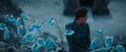 Filename=extant_StarTrekDiscovery_2x08-IfMemoryServes_01481.jpg
Filesize=136KiB
Dimensions=1920x800
Date added=Dec 08, 2019 extant_StarTrekDiscovery_2x08-IfMemoryServes_01481.jpg