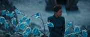 Filename=extant_StarTrekDiscovery_2x08-IfMemoryServes_01482.jpg
Filesize=138KiB
Dimensions=1920x800
Date added=Dec 08, 2019 extant_StarTrekDiscovery_2x08-IfMemoryServes_01482.jpg