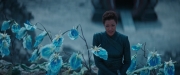 Filename=extant_StarTrekDiscovery_2x08-IfMemoryServes_01483.jpg
Filesize=140KiB
Dimensions=1920x800
Date added=Dec 08, 2019 extant_StarTrekDiscovery_2x08-IfMemoryServes_01483.jpg