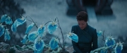 Filename=extant_StarTrekDiscovery_2x08-IfMemoryServes_01485.jpg
Filesize=140KiB
Dimensions=1920x800
Date added=Dec 08, 2019 extant_StarTrekDiscovery_2x08-IfMemoryServes_01485.jpg