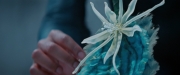 Filename=extant_StarTrekDiscovery_2x08-IfMemoryServes_01496.jpg
Filesize=120KiB
Dimensions=1920x800
Date added=Dec 08, 2019 extant_StarTrekDiscovery_2x08-IfMemoryServes_01496.jpg
