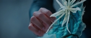 Filename=extant_StarTrekDiscovery_2x08-IfMemoryServes_01499.jpg
Filesize=137KiB
Dimensions=1920x800
Date added=Dec 08, 2019 extant_StarTrekDiscovery_2x08-IfMemoryServes_01499.jpg