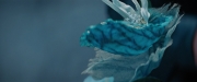 Filename=extant_StarTrekDiscovery_2x08-IfMemoryServes_01502.jpg
Filesize=107KiB
Dimensions=1920x800
Date added=Dec 08, 2019 extant_StarTrekDiscovery_2x08-IfMemoryServes_01502.jpg