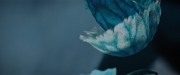 Filename=extant_StarTrekDiscovery_2x08-IfMemoryServes_01503.jpg
Filesize=94KiB
Dimensions=1920x800
Date added=Dec 08, 2019 extant_StarTrekDiscovery_2x08-IfMemoryServes_01503.jpg