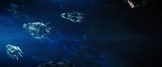 Filename=extant_StarTrekDiscovery_2x08-IfMemoryServes_02462.jpg
Filesize=133KiB
Dimensions=1920x800
Date added=Dec 08, 2019 extant_StarTrekDiscovery_2x08-IfMemoryServes_02462.jpg