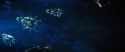Filename=extant_StarTrekDiscovery_2x08-IfMemoryServes_02463.jpg
Filesize=140KiB
Dimensions=1920x800
Date added=Dec 08, 2019 extant_StarTrekDiscovery_2x08-IfMemoryServes_02463.jpg