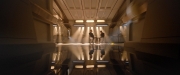 Filename=extant_StarTrekDiscovery_2x08-IfMemoryServes_04613.jpg
Filesize=161KiB
Dimensions=1920x800
Date added=Dec 09, 2019 extant_StarTrekDiscovery_2x08-IfMemoryServes_04613.jpg