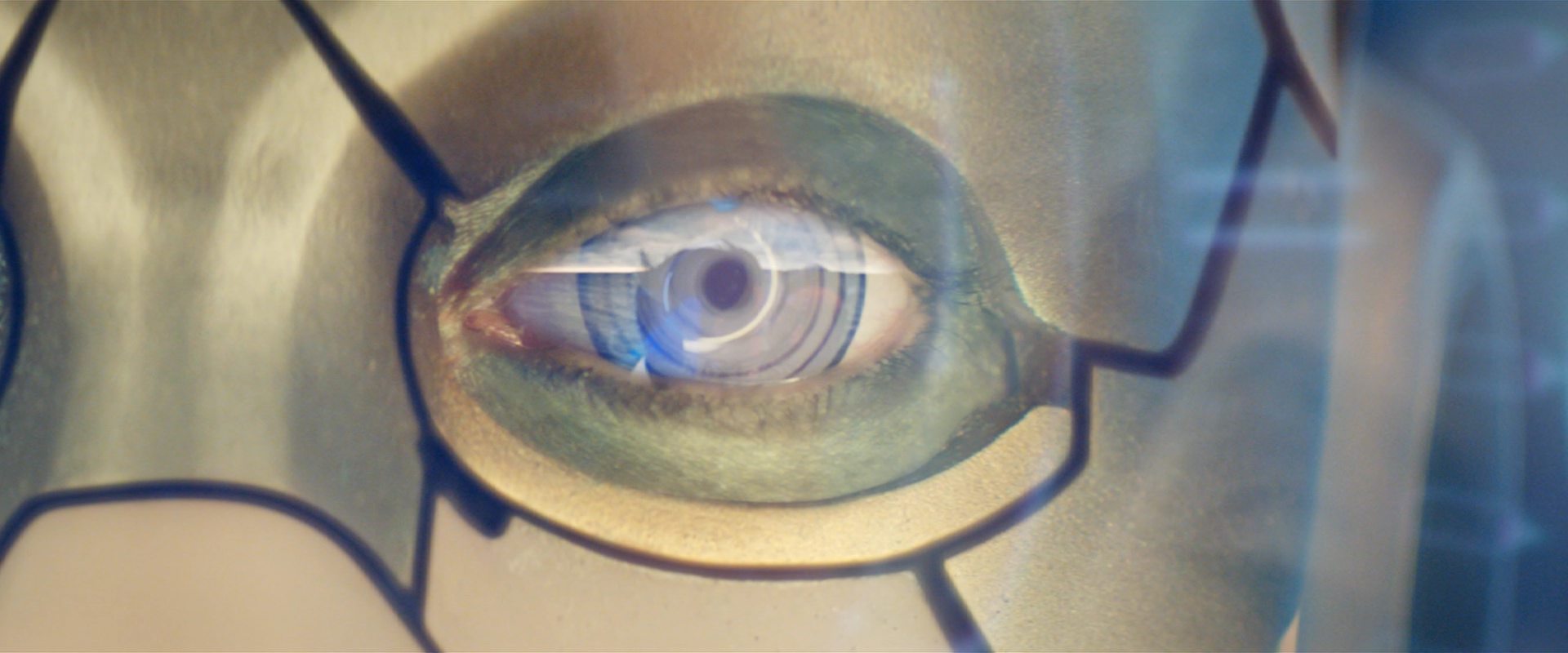 extant_StarTrekDiscovery_2x09-ProjectDaedalus_01255.jpg