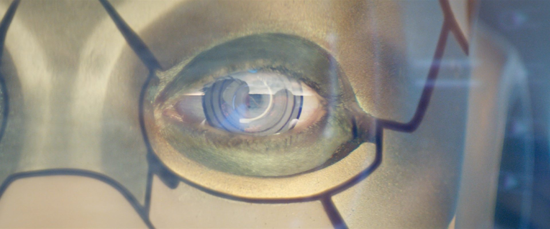extant_StarTrekDiscovery_2x09-ProjectDaedalus_01257.jpg