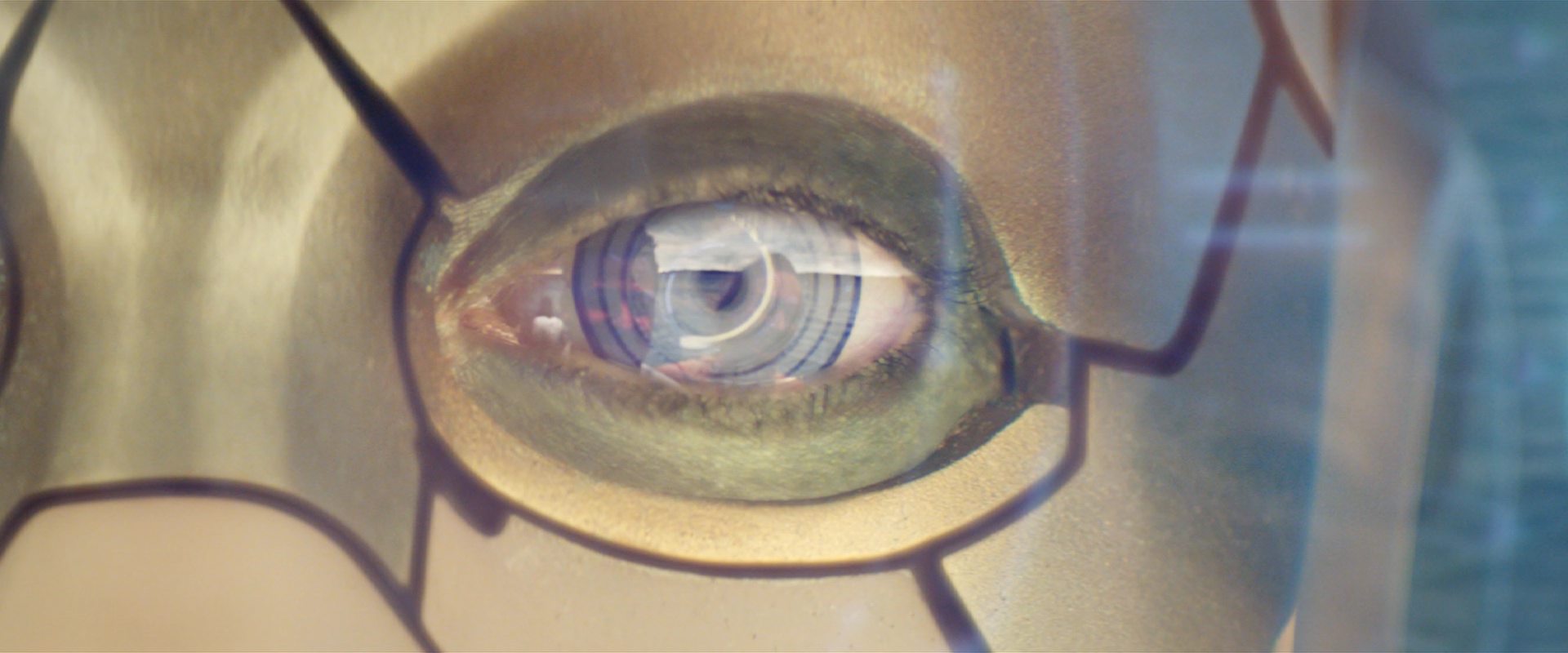extant_StarTrekDiscovery_2x09-ProjectDaedalus_01261.jpg