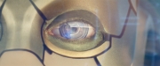 Filename=extant_StarTrekDiscovery_2x09-ProjectDaedalus_01263.jpg
Filesize=121KiB
Dimensions=1920x800
Date added=Dec 09, 2019 extant_StarTrekDiscovery_2x09-ProjectDaedalus_01263.jpg