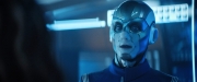 Filename=extant_StarTrekDiscovery_2x09-ProjectDaedalus_02298.jpg
Filesize=135KiB
Dimensions=1920x800
Date added=Dec 09, 2019 extant_StarTrekDiscovery_2x09-ProjectDaedalus_02298.jpg