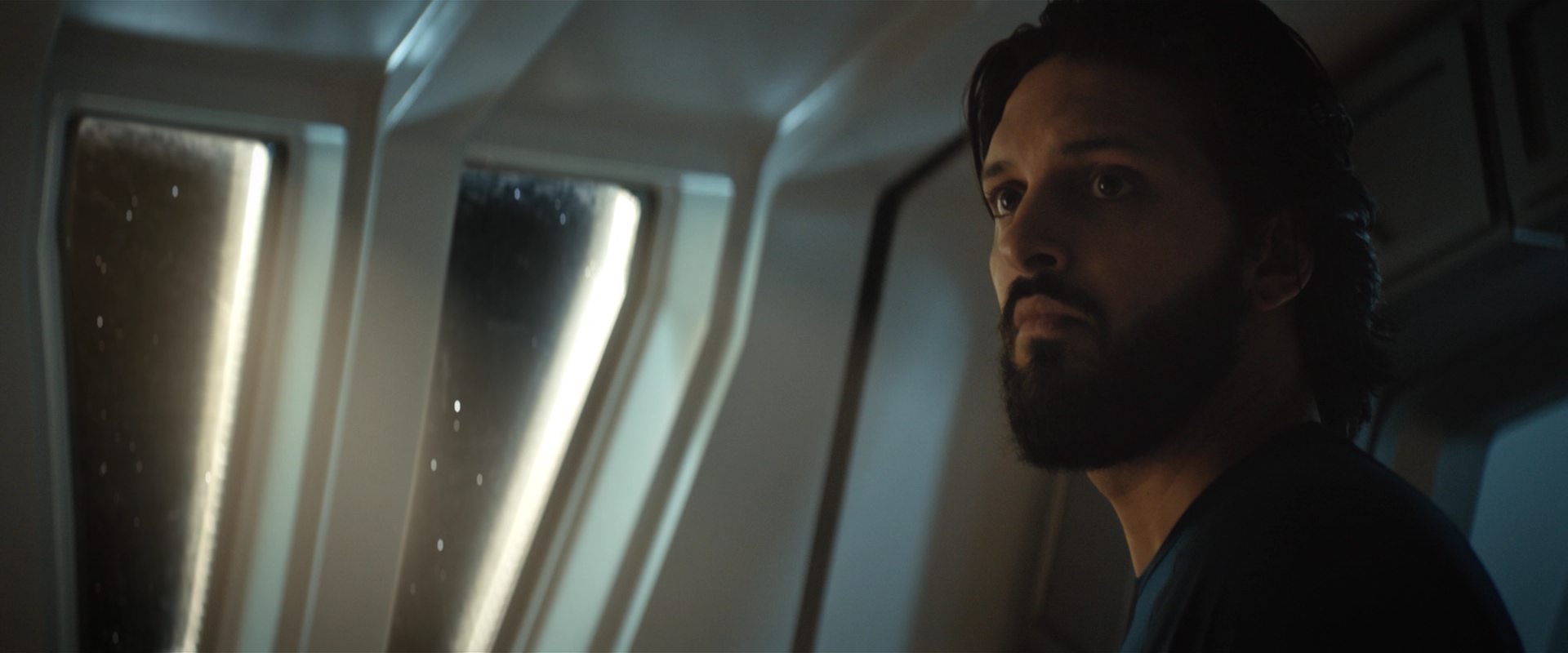 extant_StarTrekDiscovery_2x10-TheRedAngel_00225.jpg