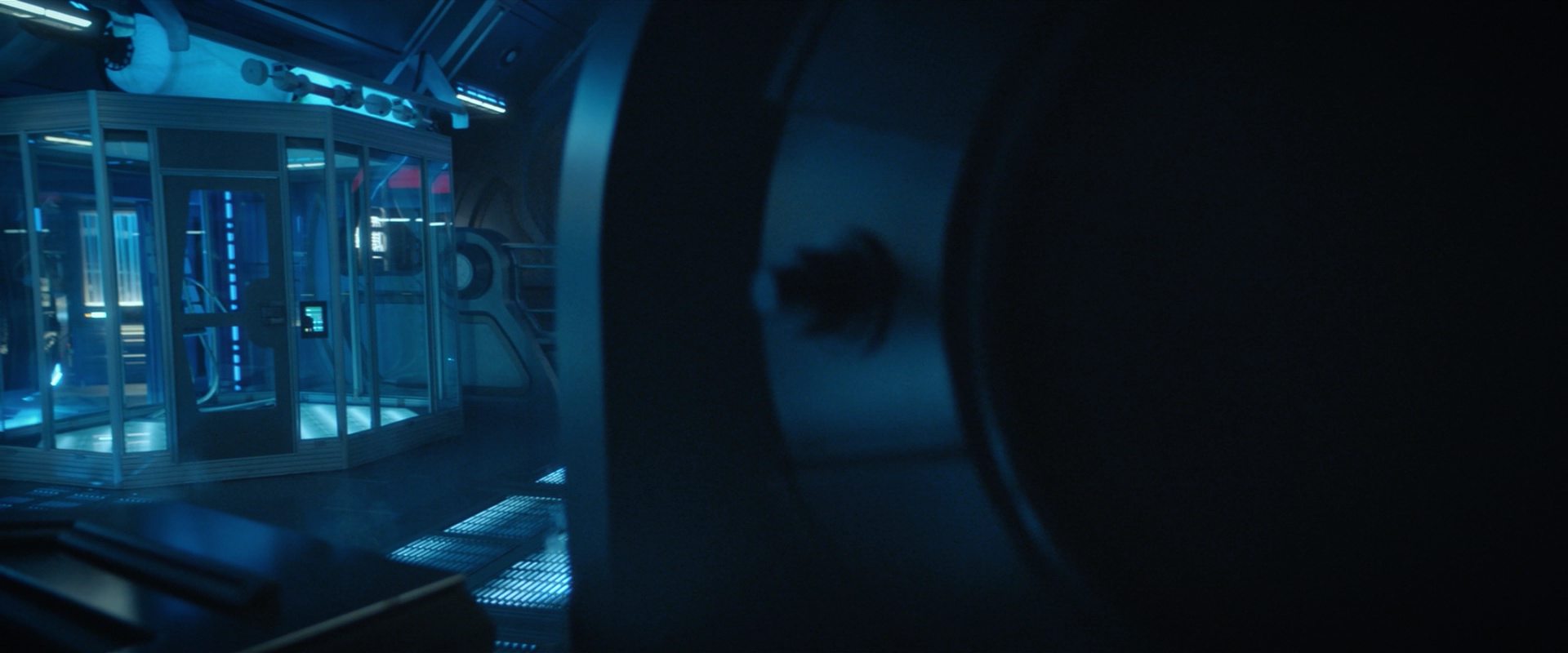 extant_StarTrekDiscovery_2x10-TheRedAngel_00316.jpg