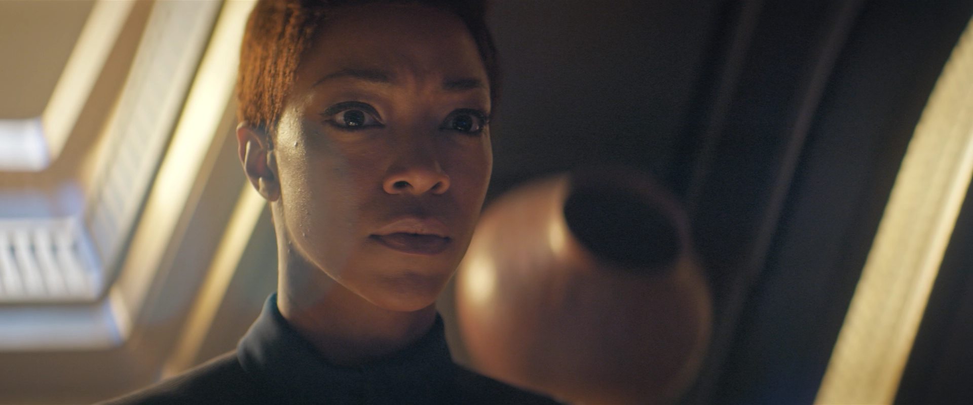 extant_StarTrekDiscovery_2x10-TheRedAngel_01672.jpg