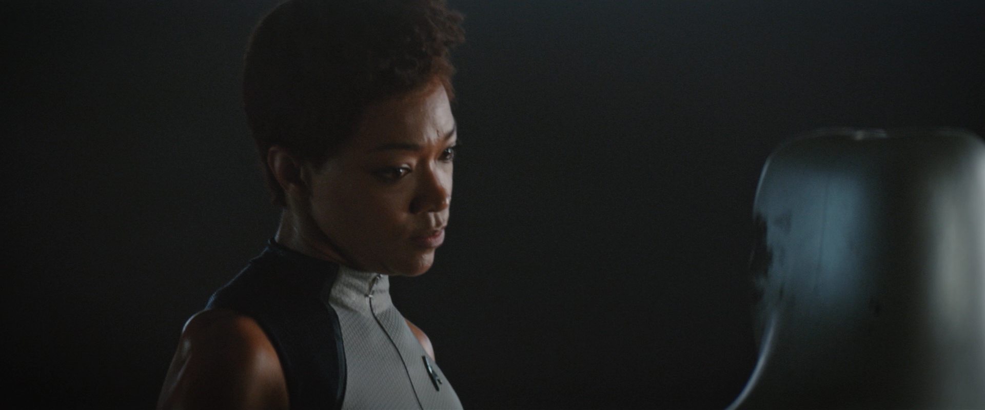 extant_StarTrekDiscovery_2x10-TheRedAngel_03389.jpg