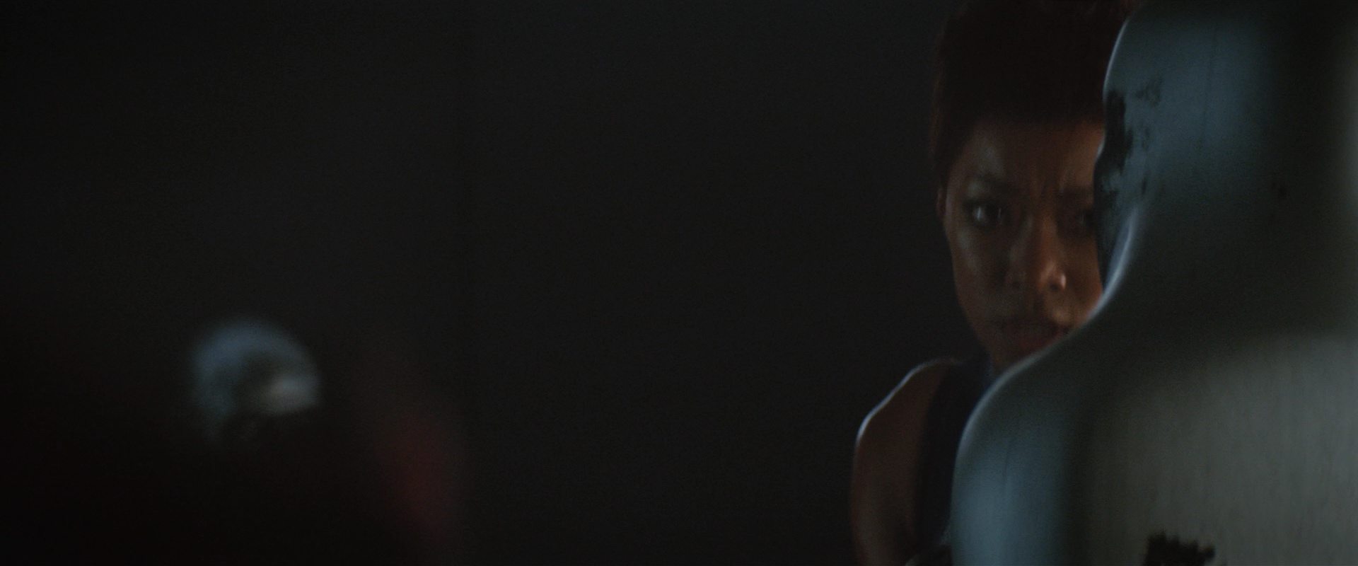 extant_StarTrekDiscovery_2x10-TheRedAngel_03398.jpg