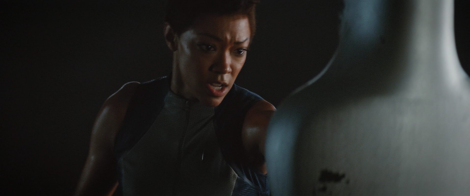 extant_StarTrekDiscovery_2x10-TheRedAngel_03426.jpg
