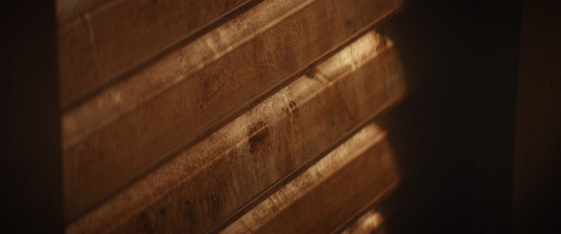 extant_StarTrekDiscovery_2x10-TheRedAngel_03963.jpg