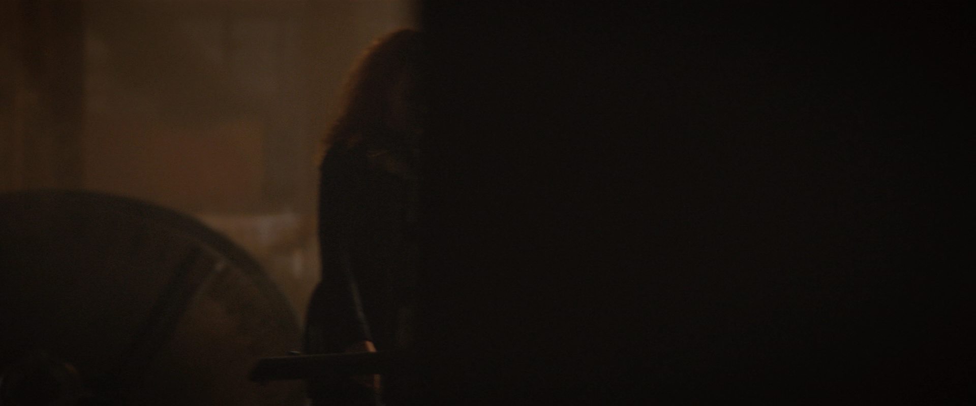 extant_StarTrekDiscovery_2x10-TheRedAngel_04001.jpg