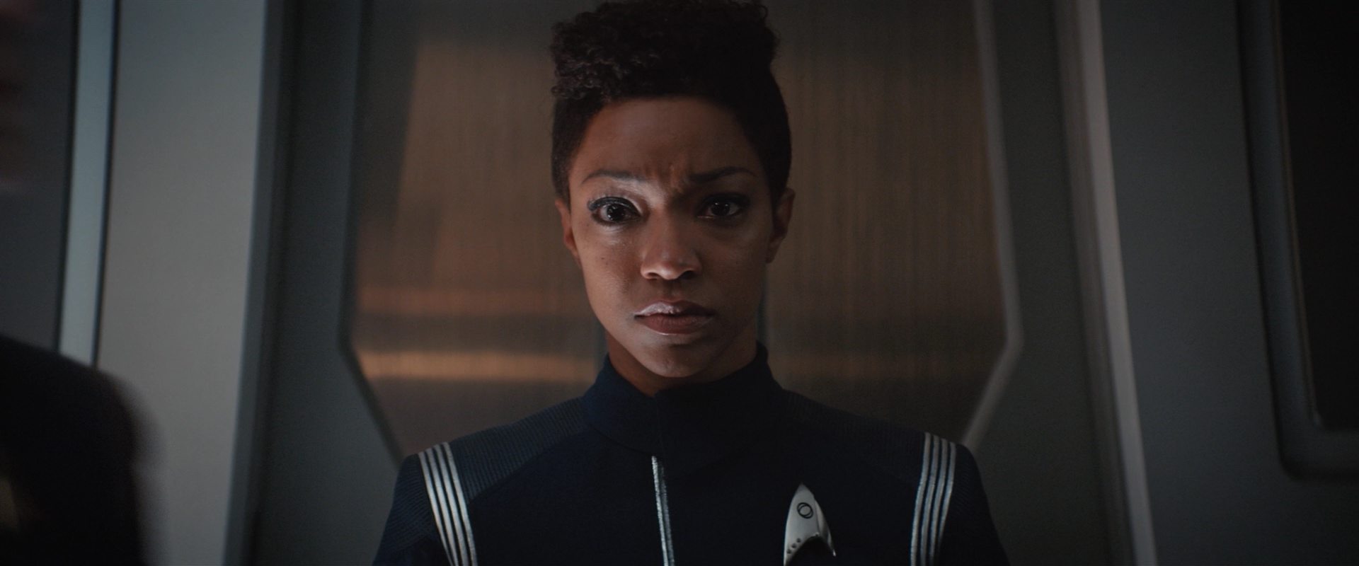 extant_StarTrekDiscovery_2x10-TheRedAngel_04082.jpg