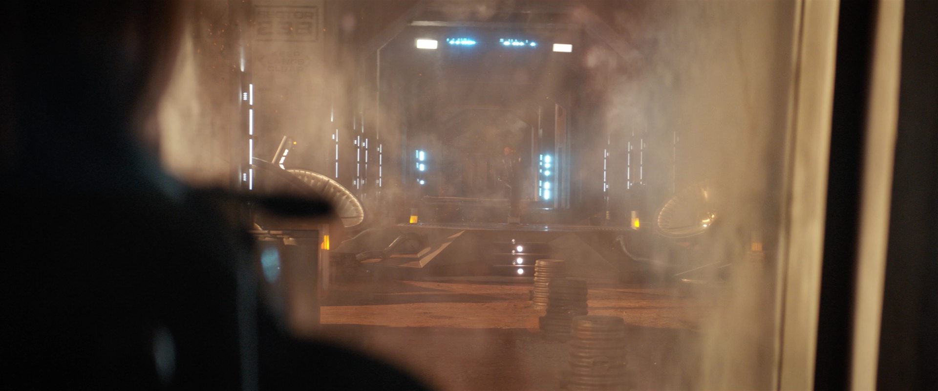 extant_StarTrekDiscovery_2x10-TheRedAngel_04898.jpg