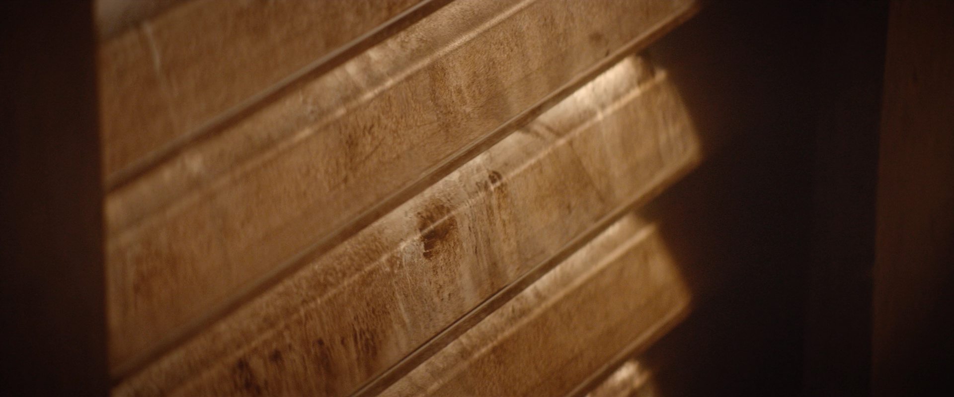 extant_StarTrekDiscovery_2x10-TheRedAngel_05423.jpg