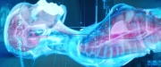 Filename=extant_StarTrekDiscovery_2x10-TheRedAngel_00285.jpg
Filesize=164KiB
Dimensions=1920x800
Date added=Dec 09, 2019 extant_StarTrekDiscovery_2x10-TheRedAngel_00285.jpg